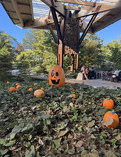 BP Pumpkins (13).jpeg