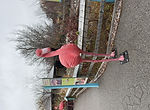 Flamingo 4.jpeg