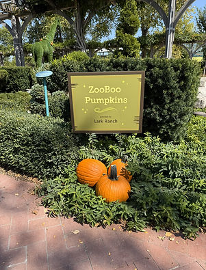 ZooBoo Pumpkins in Gardens.jpeg