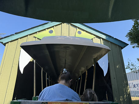 ZooBoo Monster Tunnel.jpeg