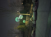Dandelions at Night (4).jpeg