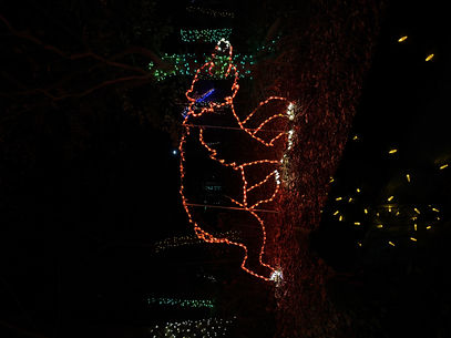 Christmas at the Zoo Bear Wireframe.jpeg