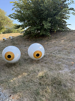 ZooBoo Train Eyes (1) .jpeg