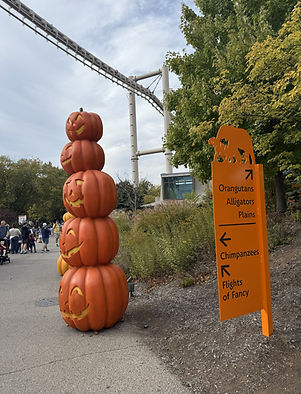 IOC pumpkin tower (3).jpeg