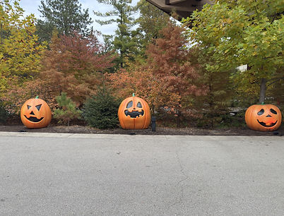 BP Pumpkins (8).jpeg