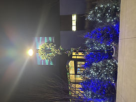 Christmas at the Zoo Colt's Plaza Garland.jpeg