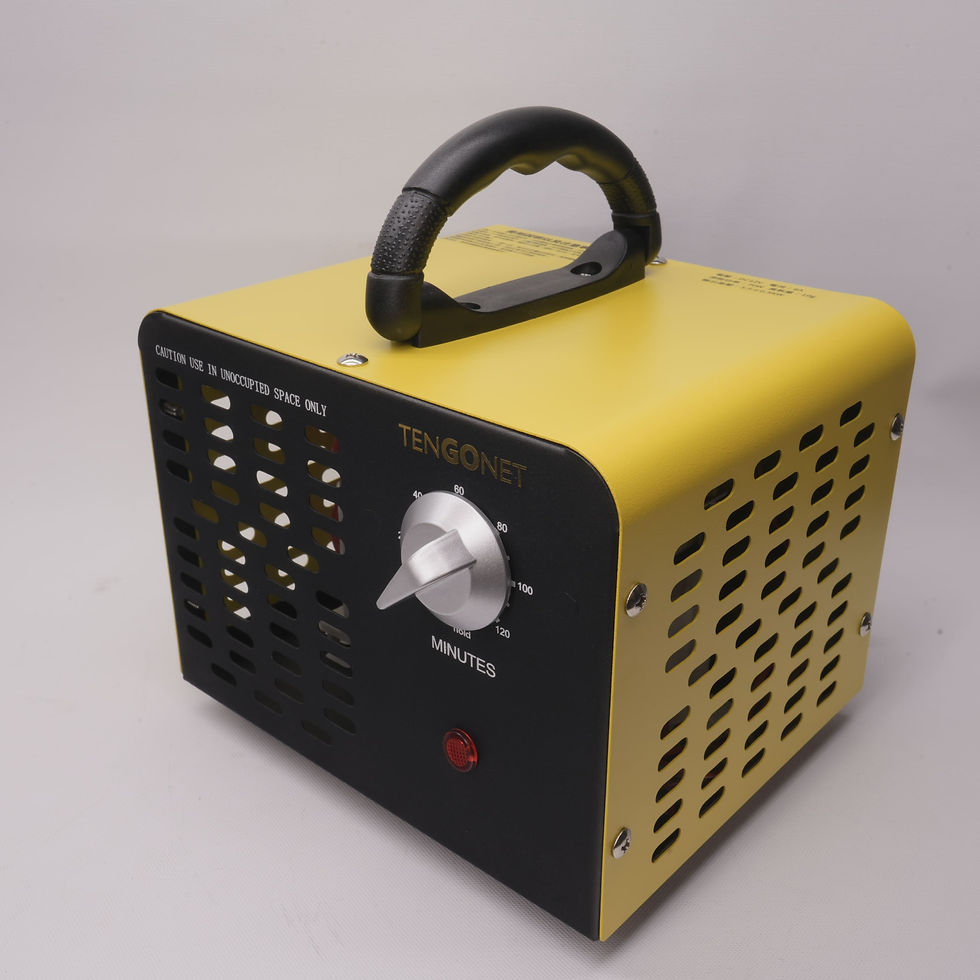 縮圖：110V 12V 臭氧機10g/20g/32g 風扇定時/ 殺菌/除味