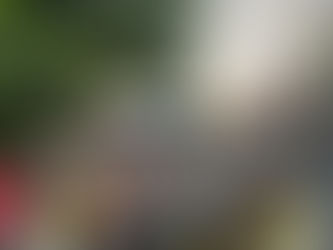 Atividades Recreativas - SAAF