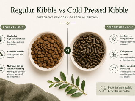 Cold Pressed vs Kibble Dog Food: Which is Better for Your Dog?