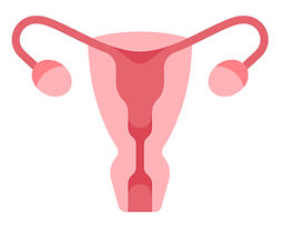 Female Health