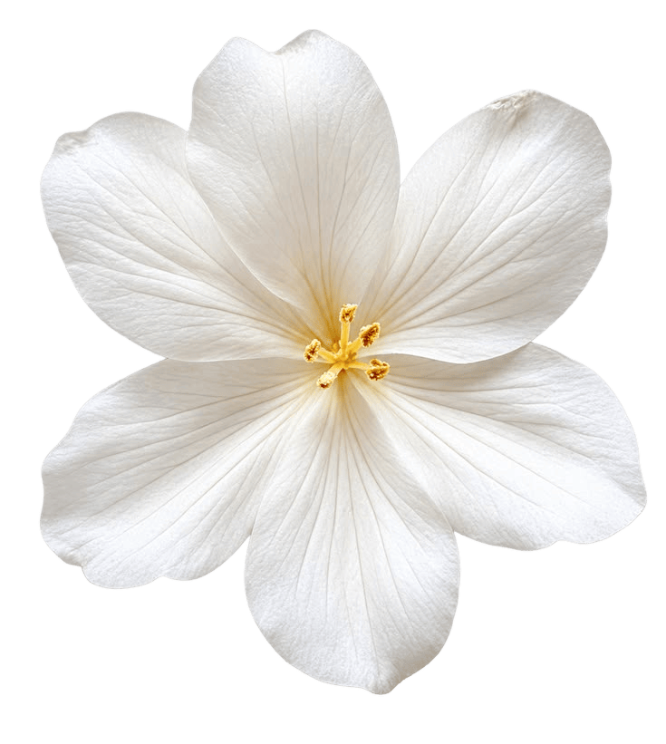 flower.png