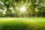 AdobeStock_218496887_Preview.jpeg