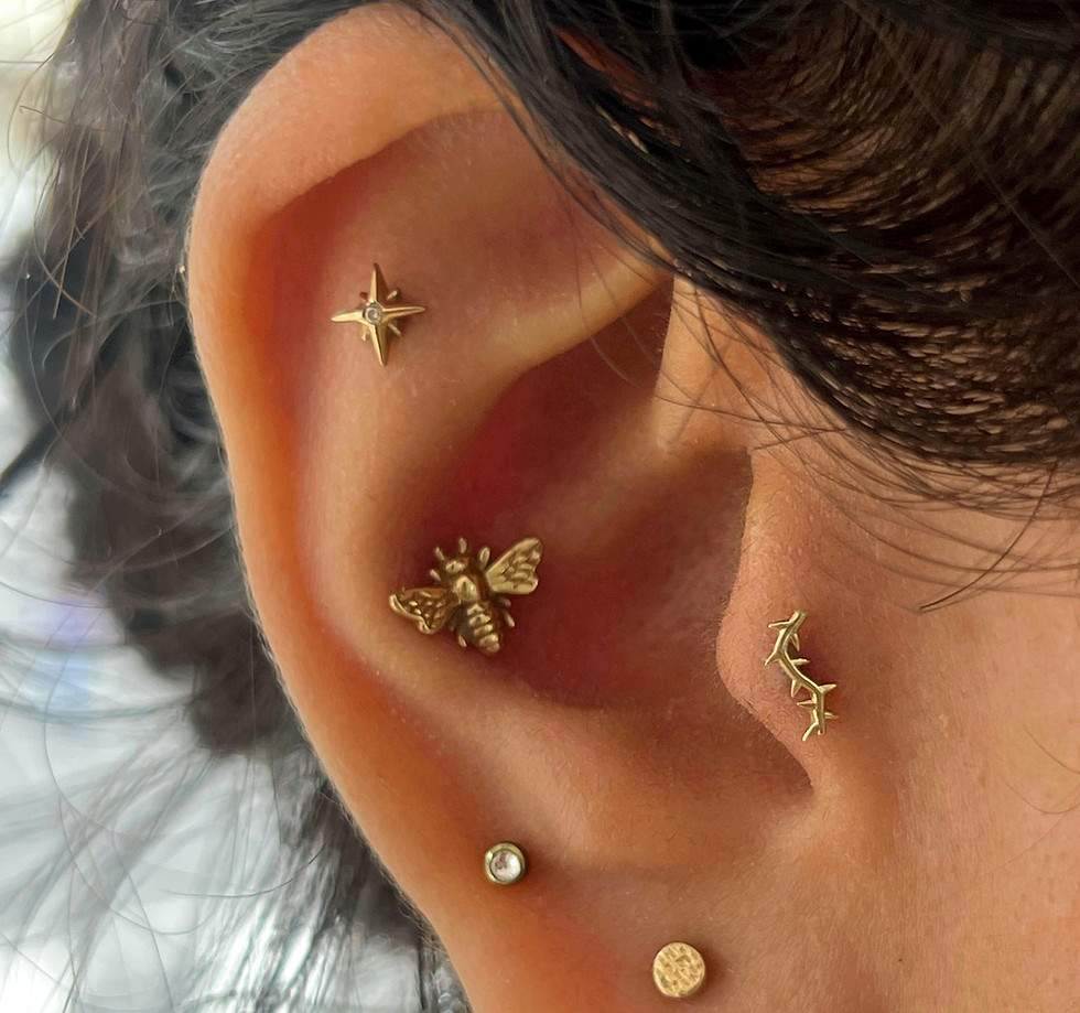 WhatsApp Image 2025-10-21 at 20.04.02.jpeg