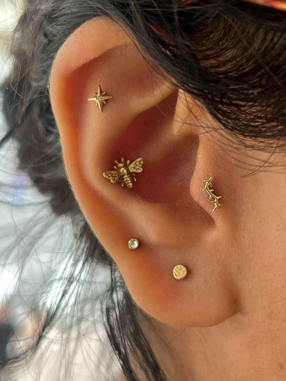 WhatsApp Image 2025-10-21 at 20.04.02.jpeg