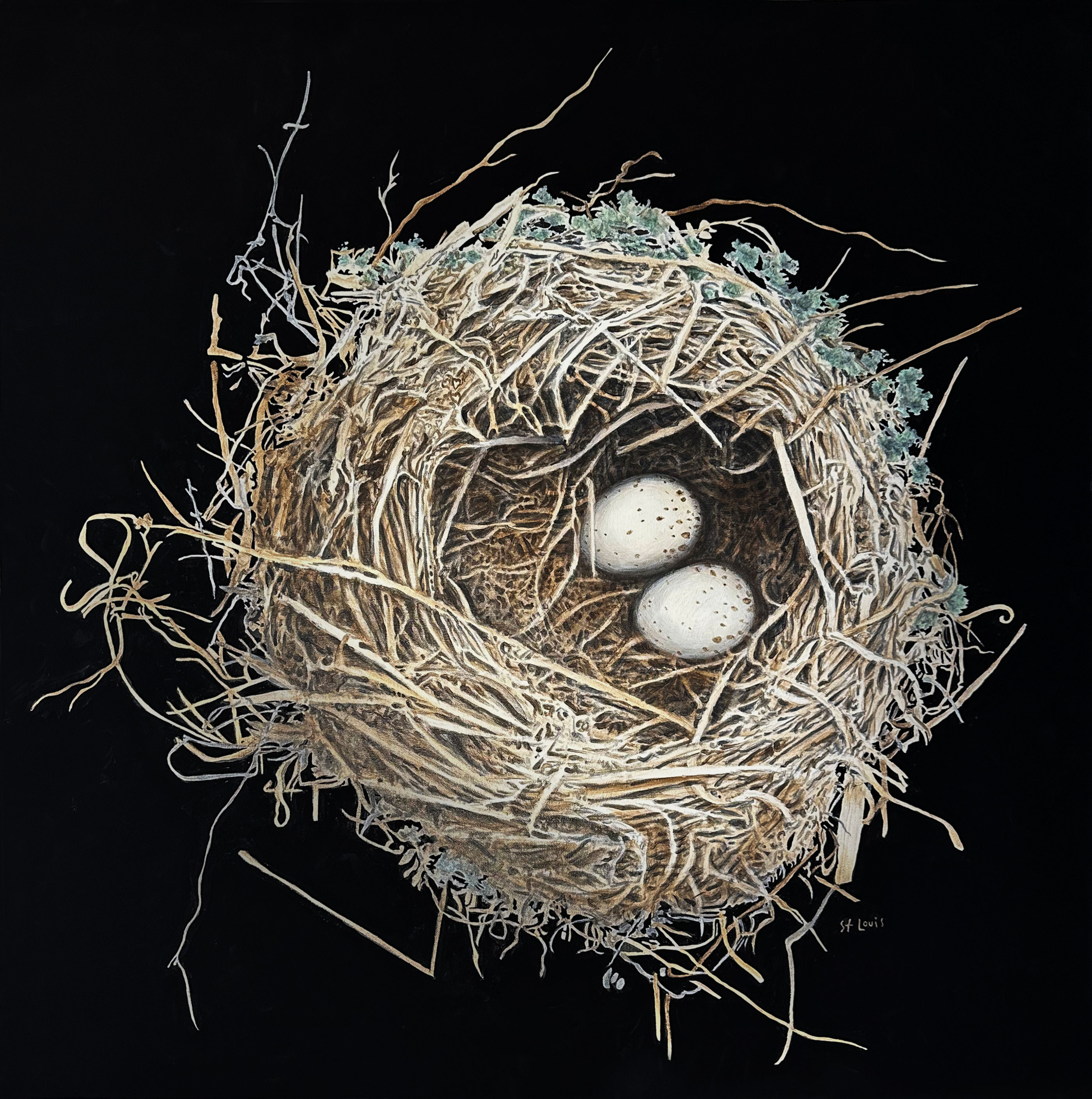 Nest Corvus