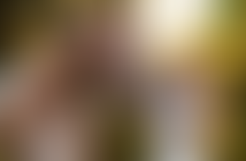 What is Life Coaching in Partnership with Horses?