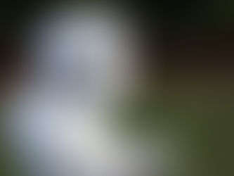 Truthful Spiritual Journey (Living it- Breathing it)