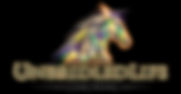 unbridledlifecoach_logo.jpeg