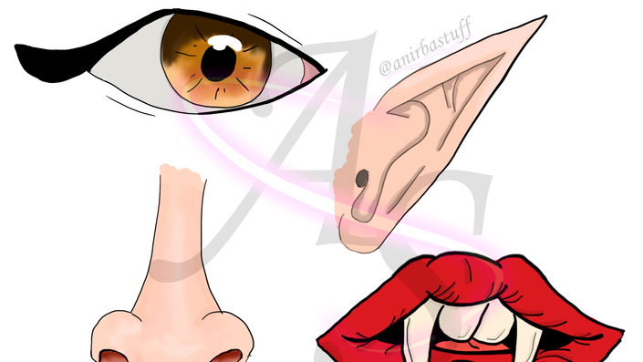 Face