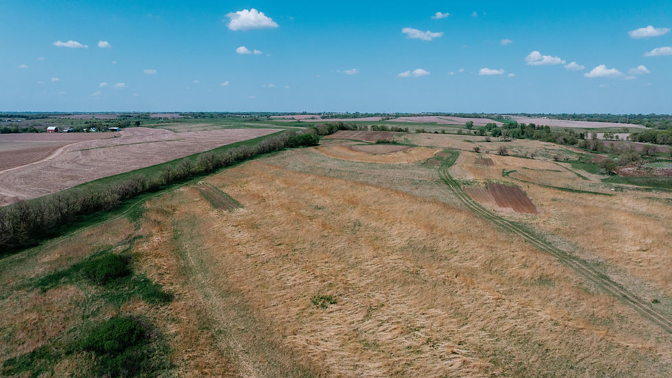 DJI_20250509035706_0610_D.jpg
