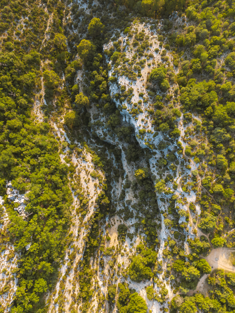 Moritz_Klee-81.jpg