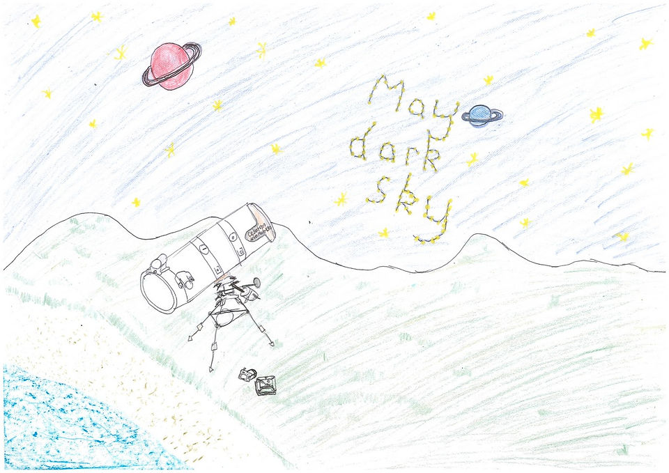MDSF Art comp runner up Hailey (Copy)
