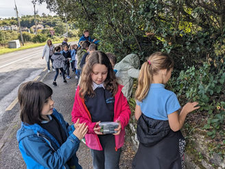 2nd Class go blackberry picking