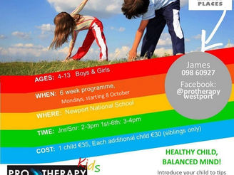 Pro Therapy Kids