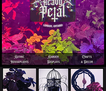 Heavy petal promo pic.jpg