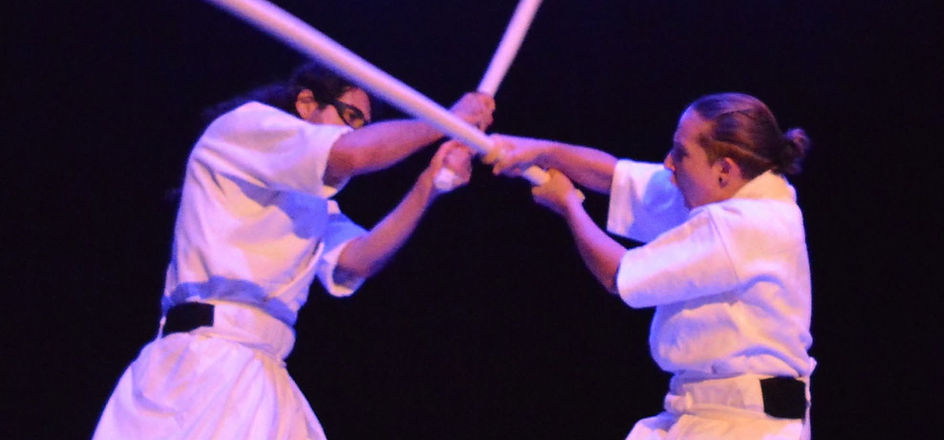 JODO Takedabudo vitrolles.jpg