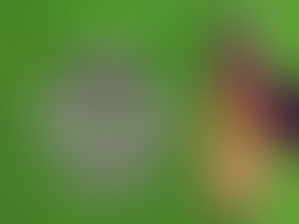 🌟 Dia do Açaí: Sucesso Total!