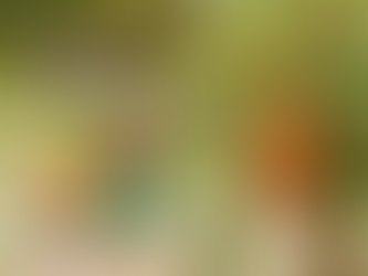 A história do cupuaçu: o tesouro amazônico que conquistou corações