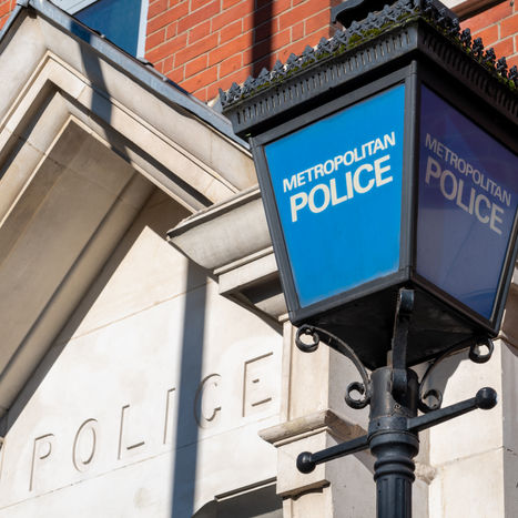 'OFFICERS WILL HAVE TO SLEEP ON FRIEND'S FLOODS!:  MET CHIEF WARNS THAT 'CHAOTIC NHS STRIKES WILL 'DRAG OFFICERS AWAY' FROM DUTIES