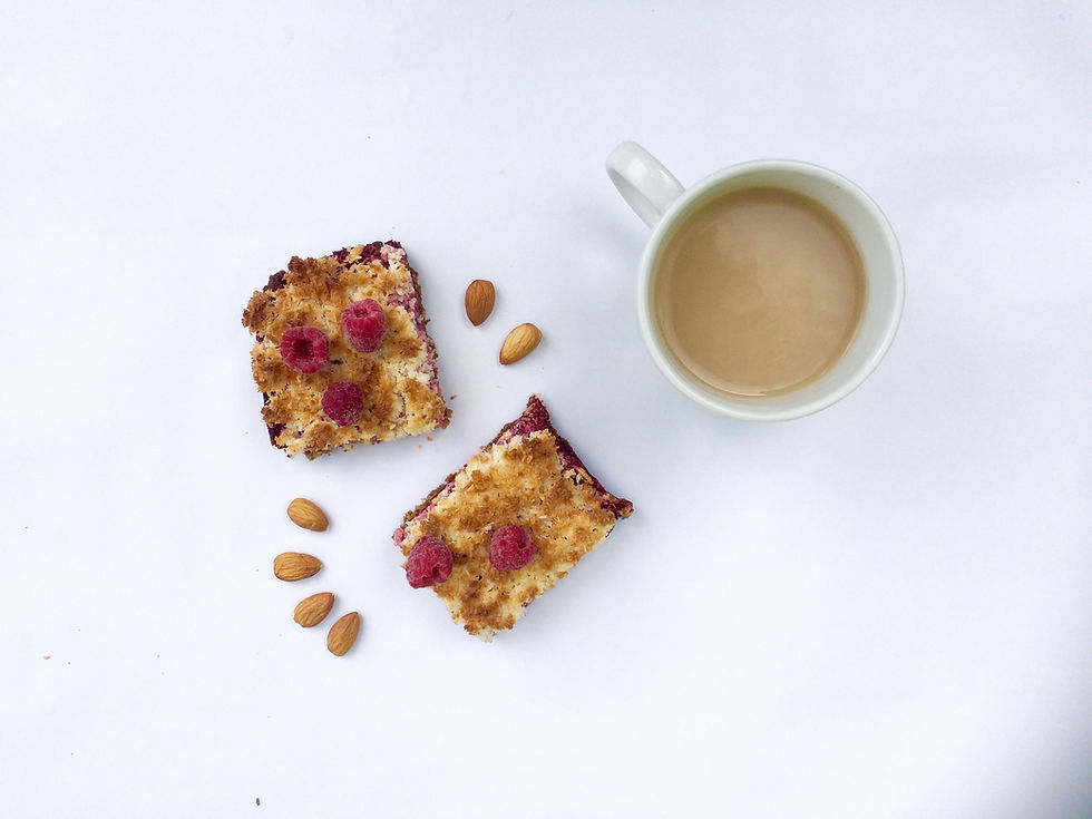 Healthy CoconutJam Slice Recipe