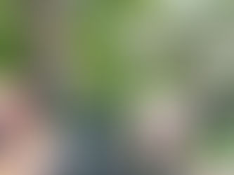 MEGASTAR AAZAAD PAYS TRIBUTE TO CHANDRASHEKHAR AZAD AT ALLAHABAD, PRAYAGRAJ