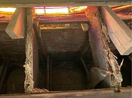 Termite Damage #1.jpg