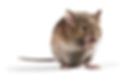 iStock-920008588.jpg