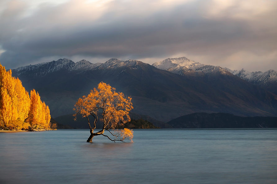 WANAKA.jpg