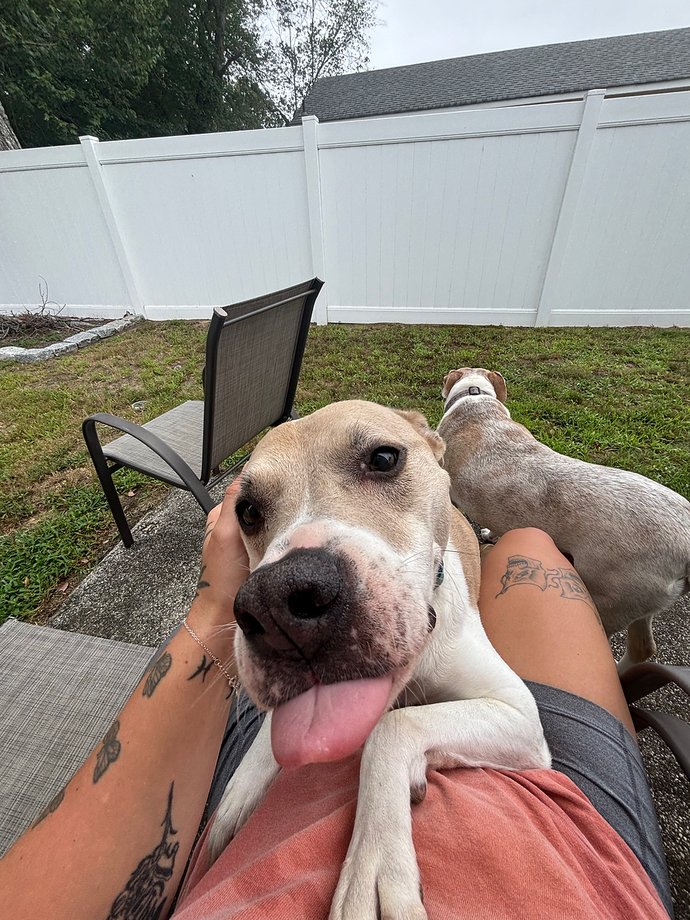 Happier Dog
