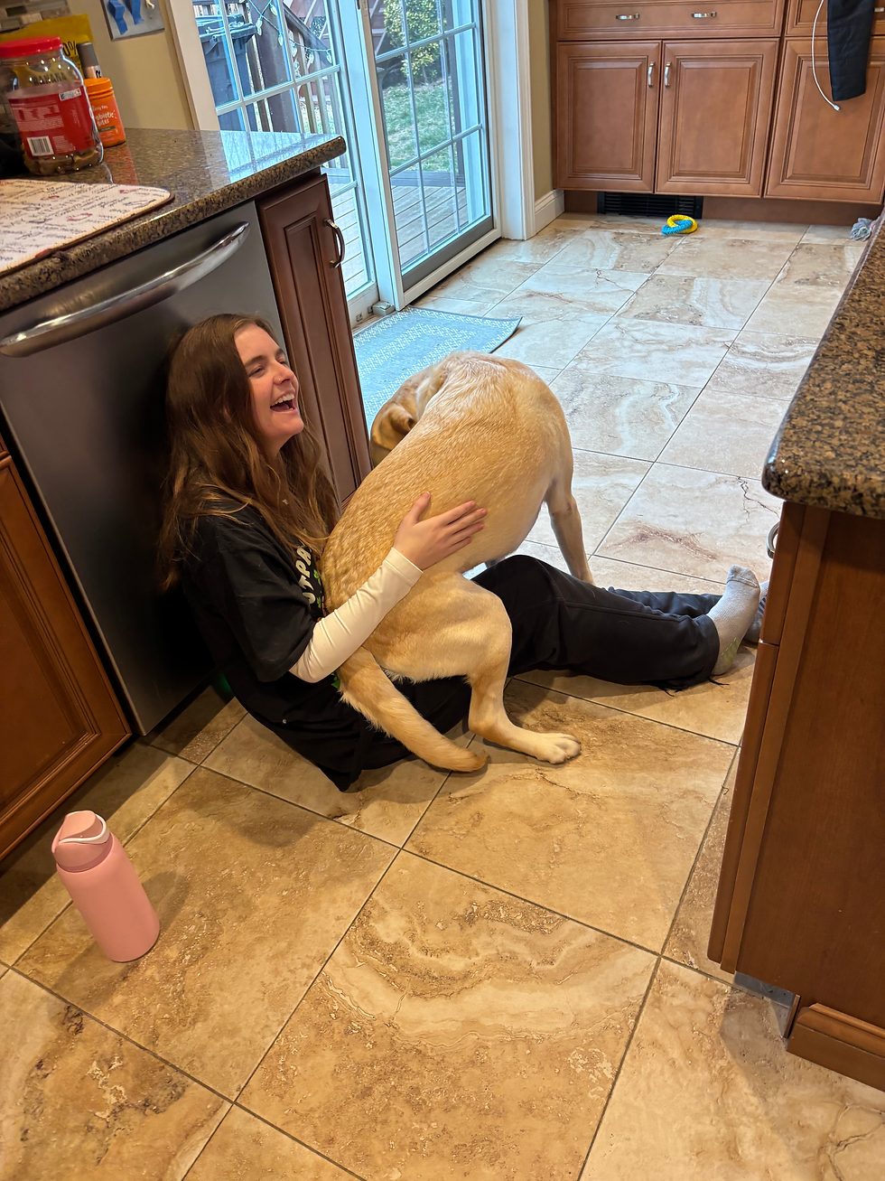 Emily meets Bojack