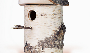 bignest_66275.png
