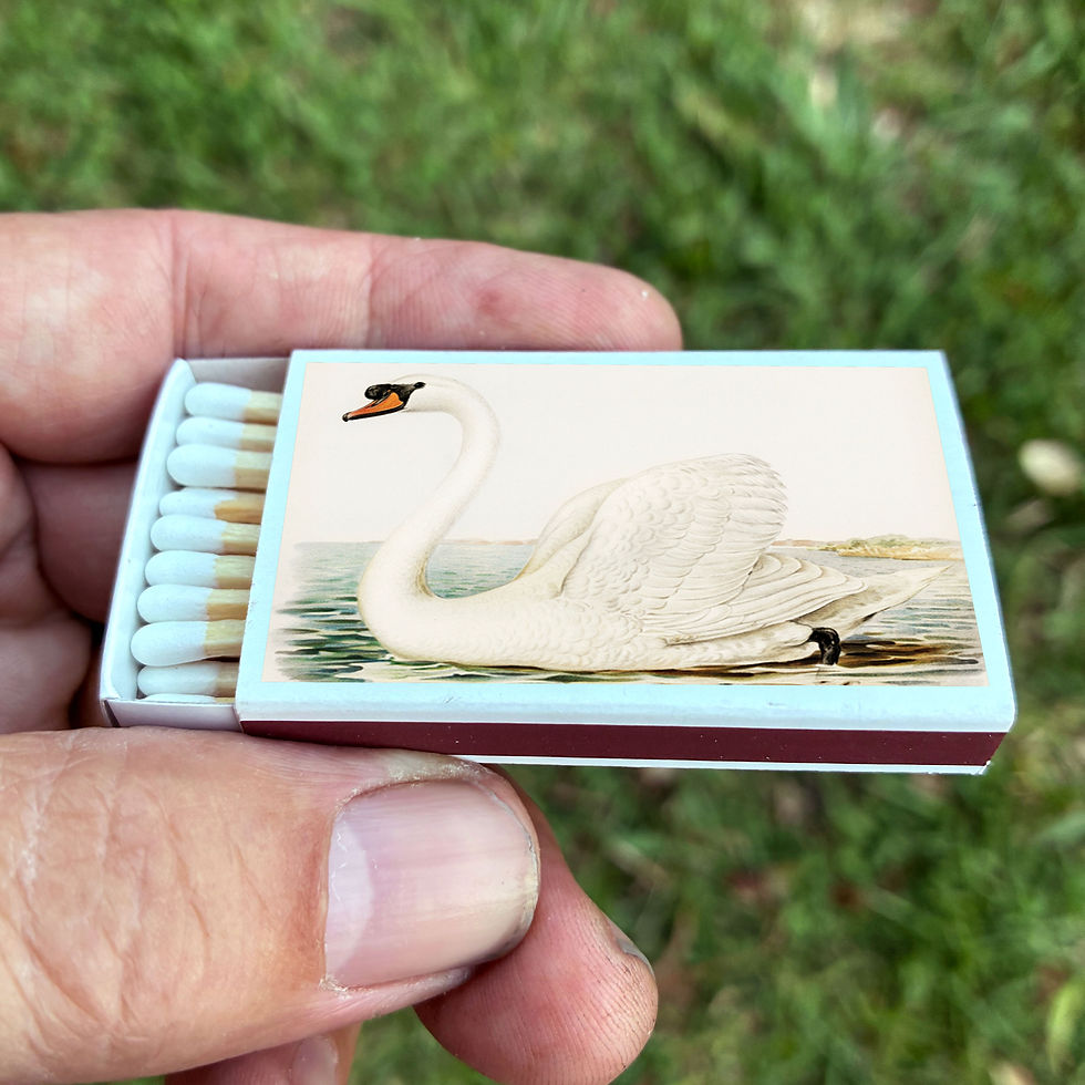 Thumbnail: Matches • Swan • Home Decor for Candles and Incense • Custom Matches
