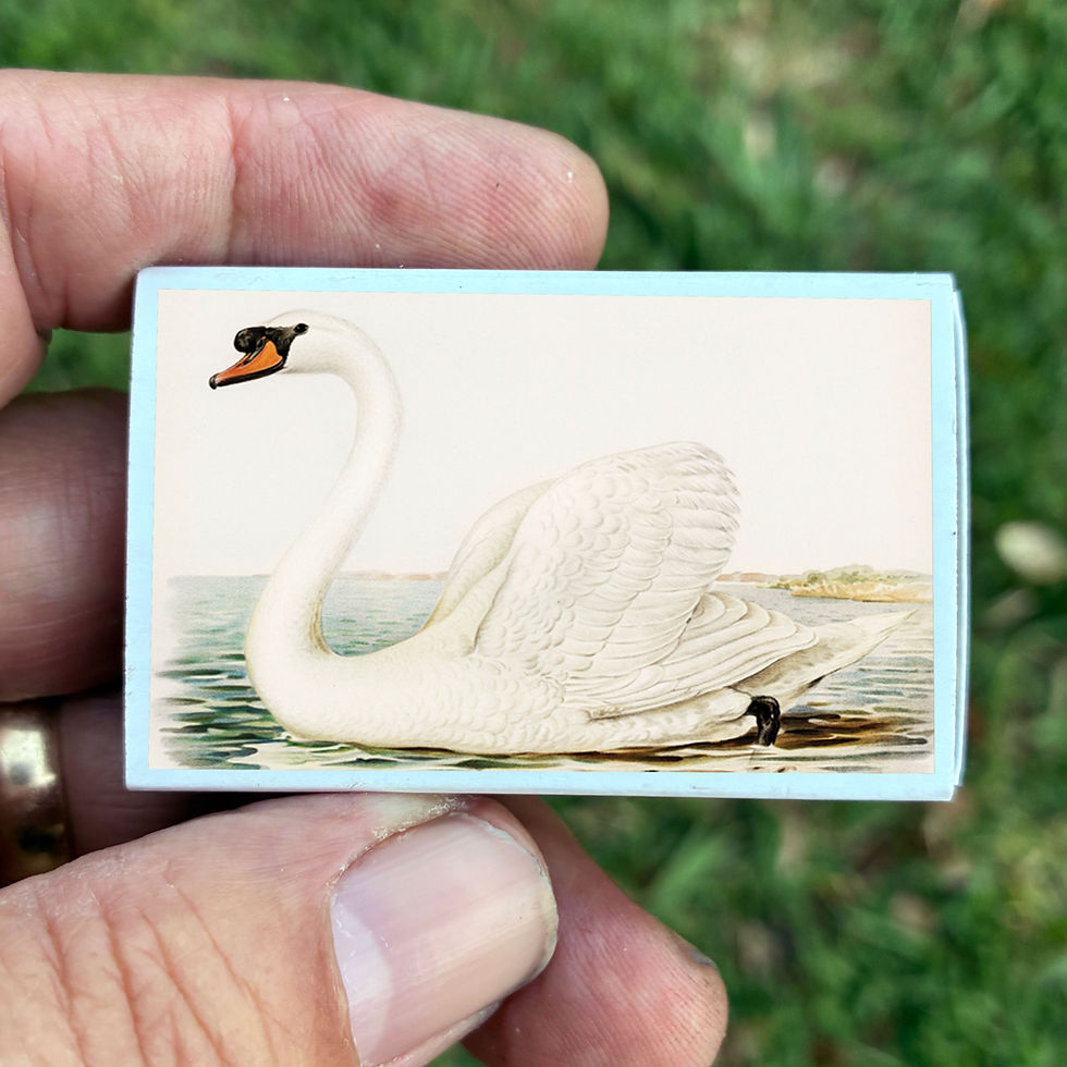 Thumbnail: Matches • Swan • Home Decor for Candles and Incense • Custom Matches