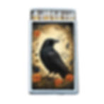 Matches • Raven Matchboxes • Home Decor for Candles & Incense • Custom Matches