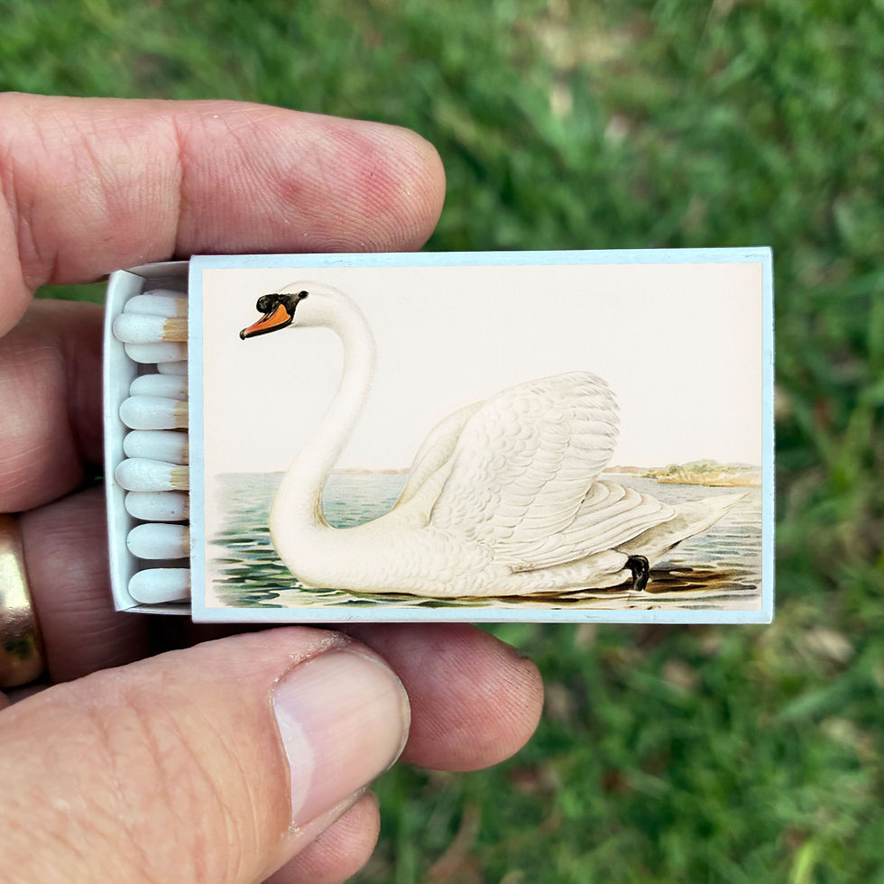 Thumbnail: Matches • Swan • Home Decor for Candles and Incense • Custom Matches