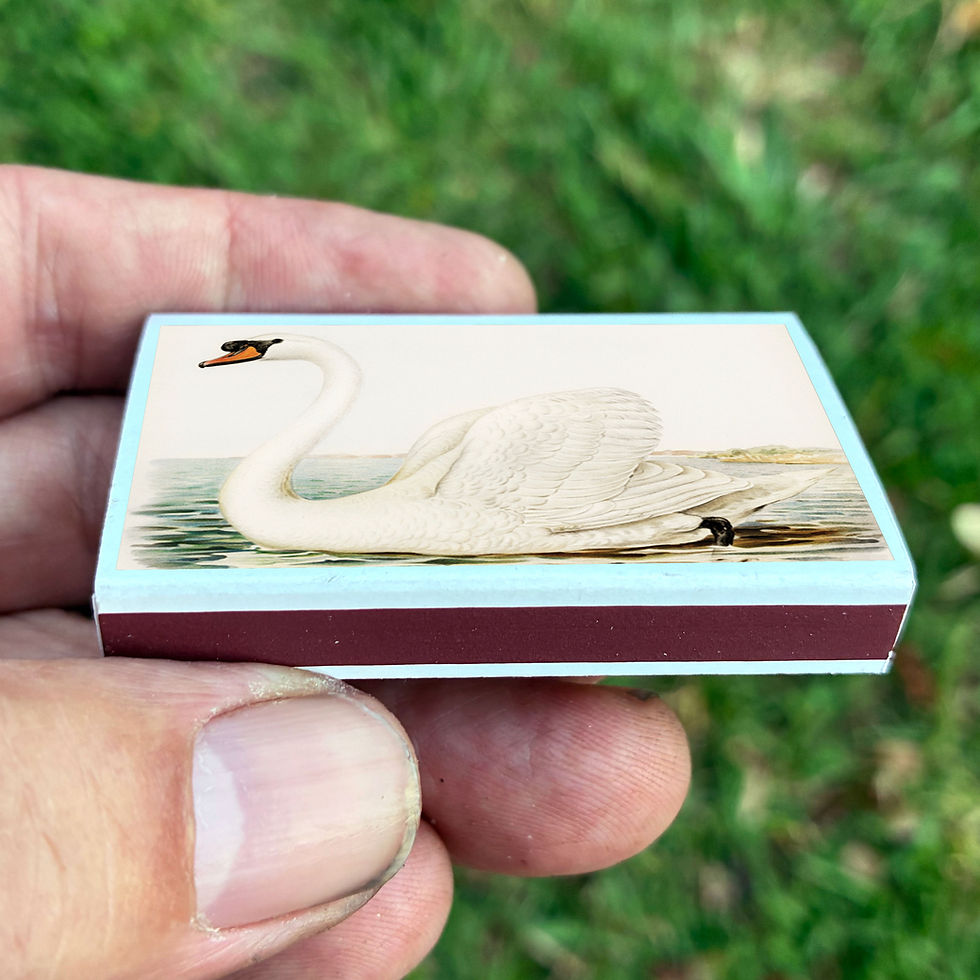 Thumbnail: Matches • Swan • Home Decor for Candles and Incense • Custom Matches