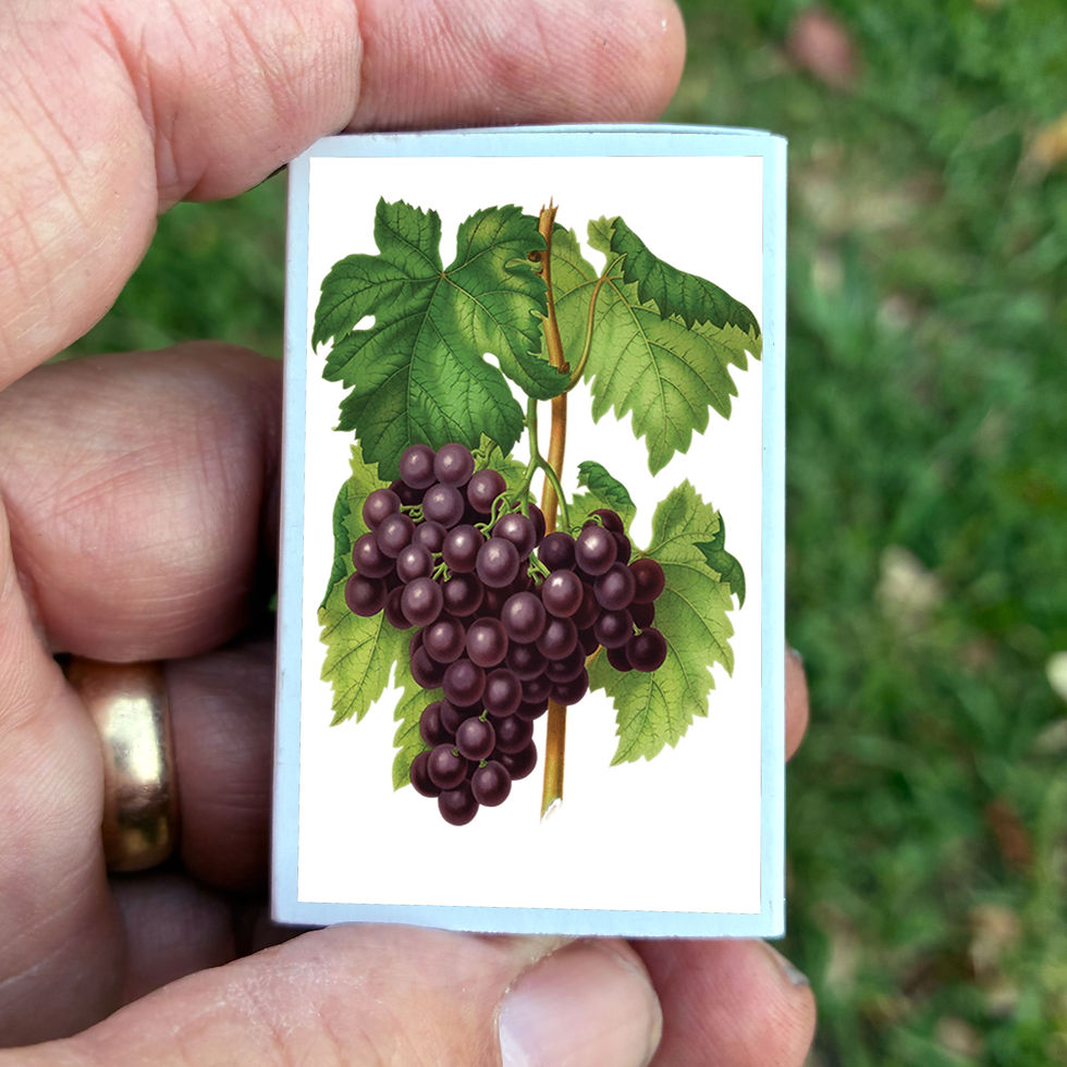 Thumbnail: Matches • Red Grapes • Home Decor for Candles and Incense • Custom Matches
