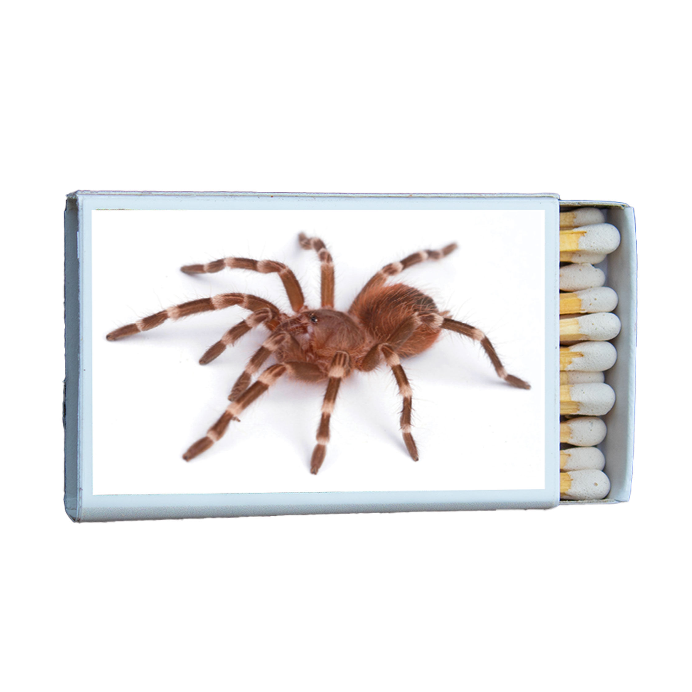 Matches • Tarantula • Home Decor for Candles and Incense • Custom Matches
