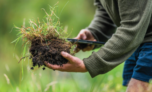 soil.png