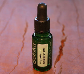 Woodland Bottle_edited.jpg